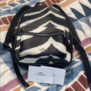 Coach Zebra Print Mini Backpack